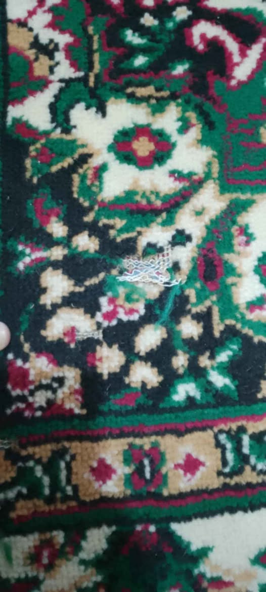 3زوالي وكاربت ب170وبيهن مجال كربلاء, العراق


**إذا كنت صاحب هذا الإعلان وتريد حذفه لأي سبب، رجاءا أرسل رسالة إلى الدعم الفني**