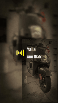 ماكس بوليس • كفالة • نضافه