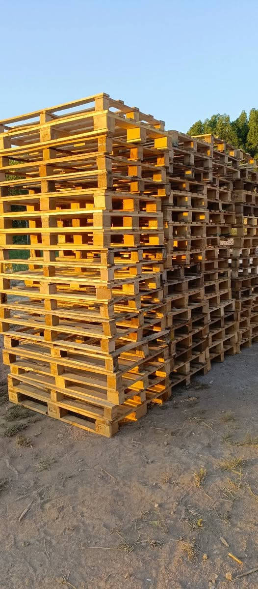 سلام عليكم
سكيب قياس 75×120

العدد85قطعه 

سعر 4الف 

مكاني بغداد جسر ديالى الكرغوليه 

***********
