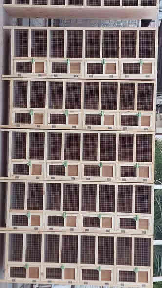 يا الله سلام عليكم من رخصة صاحب الكروب المحترم الأعضاء المحترمين تم اليوم الحمد لله إنجاز خانات الأخ المحترم ولخلوق مصطفى التميمي ربي يبارك بي وبحلاله
مستعدون لعمل وتجهيز كافة انواع الخانات والاقفاص والواجهيات والكشوانيات والمعالف وجميع انواع بيوت طيور الزينة حسب الطلب العنوان النجف حي الجزيره الطلب واتساب***********  قياسات الخانه المعروضه با الصوره  الطول 2.15 واجها 70 نزال 50  ارتفاع 50
