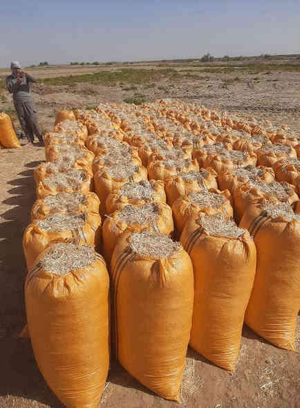 تخفيضات وبأنسب الاسعار
وتوصيل مجاني يوجد تبن
 نضيف + ابيض + الكبسه مال الكله 
مال الحاصوده الفوك + يوجد توصيل
 ديالى + بغداد + واسط الكوت
 بابل الحله + كربلاء + نجف
 ديوانيه + السماوه للاتصال والاستفسار
  متواجد واتساب وماسنجر
 وخطي *********** او ***********
