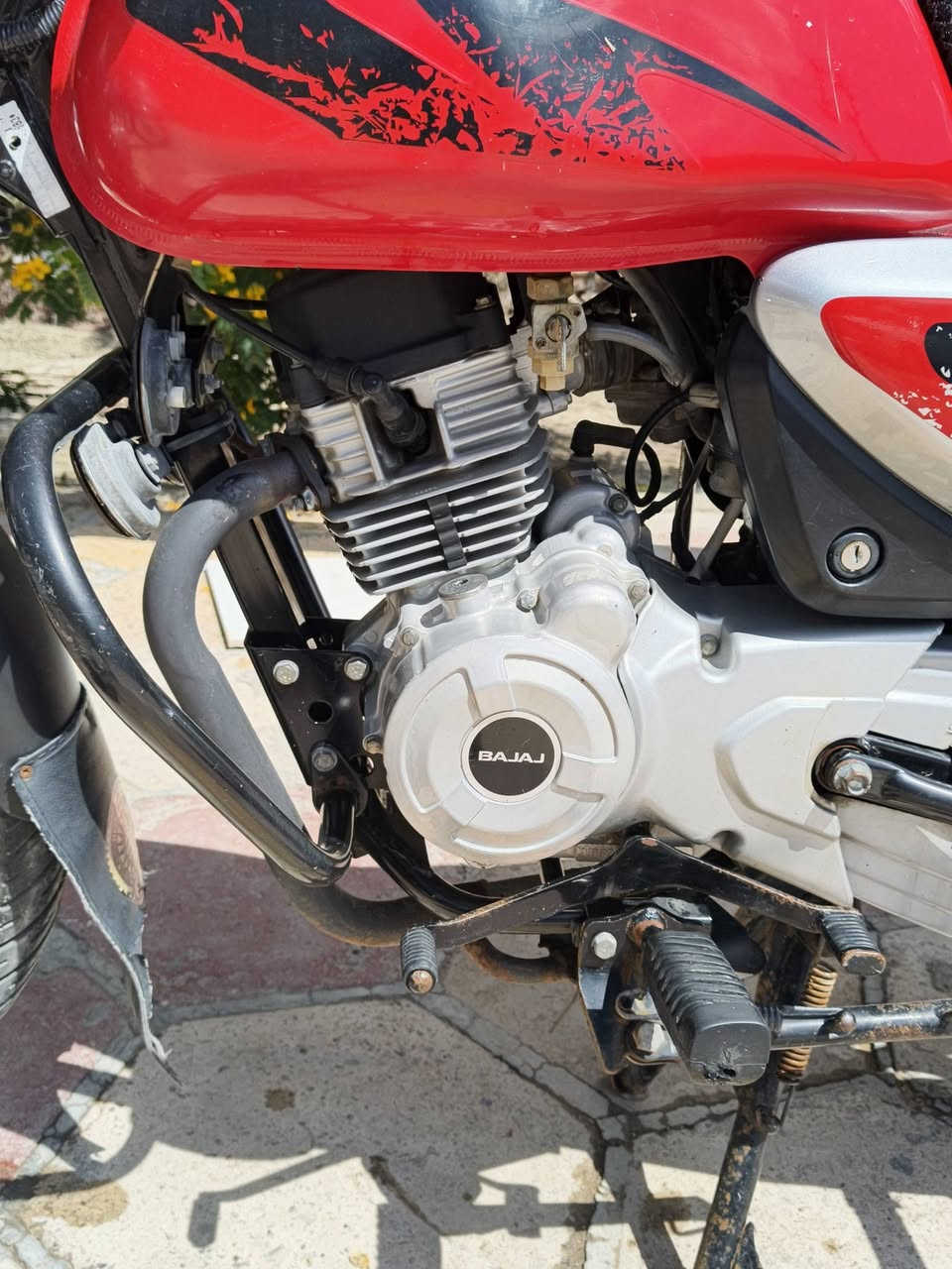 سلام عليكم
بوكسر فحل مديل 2019دراجه جديده رقم بصره بسمي تحويل ثاني يوم مكينه كهربايات سلف جاهزه مال بيت لا مشتغله دلفري ولا شي نضيفه كلشش مكان البصره السعر 2500الهاتف ***********
