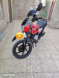 بوكسر • فحل • ٢٠٢٣