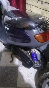 منغولي • نضيفه • حاويه