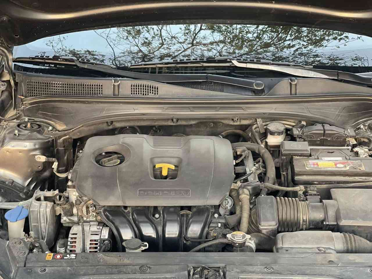 السلام عليكم كيا فورتي جي تي لاين 2021 فول عدا الفتحة مواصفاتهة بصمة رادار امامي رادار جانبي رادار خلفي رادار بالمري اشاير بالمري كامرة دوارة بصمة دخول ذكي ترحيب عن بعد شاشة ابل كار بلي تحديد مسار كروز سرعة نقط عمياء ويل كب 18 رياضي بلادي مكينة 2000 دوش كير سي في تي حادثهة بابين عكس السايق و بيهة رصعة بالجاملغ الخلفي و السونار مرفوق بالمنشور رايدهة 140 ورقة و بيهة مجال قليل رقم الهاتف *********** ممتواجد عالنت
