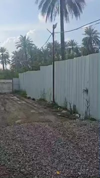 ديالى جديده الشط • ١٠٠٠م • طابو زراعي