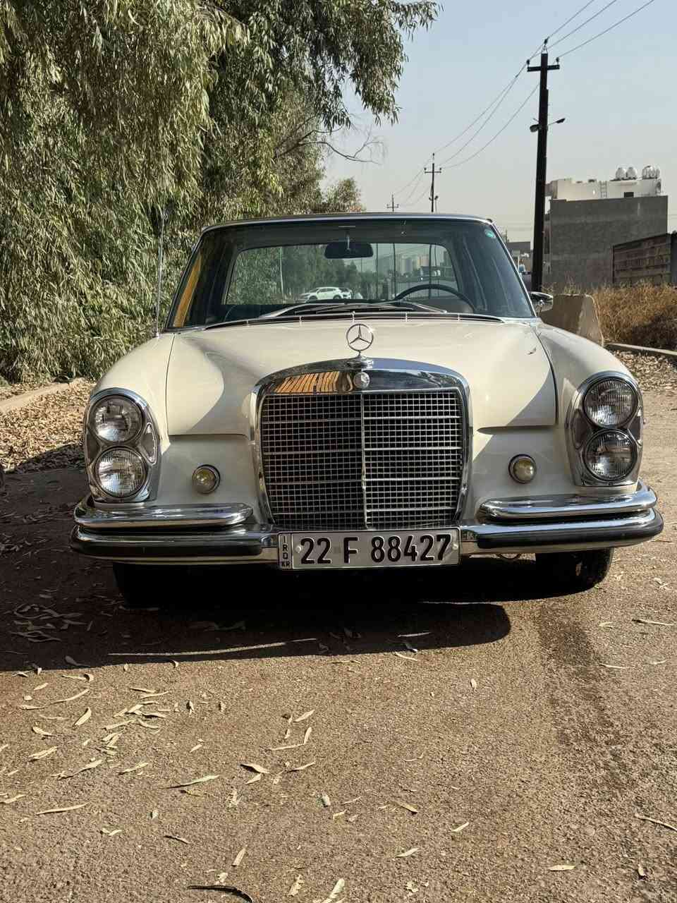 مارسيدس 1967 250se بلاديه كله كير ومحرك وغرفته كله بلادي مواصفات خاصه جام اربعه كهرباء وفتحه سقف شغاله تو كلر لون القماره بلادي قهوائي السياره حته مسجله بلادي وشغال كير اوتو تعليك محرك بانزين للاستفسار الاتصال ***********
