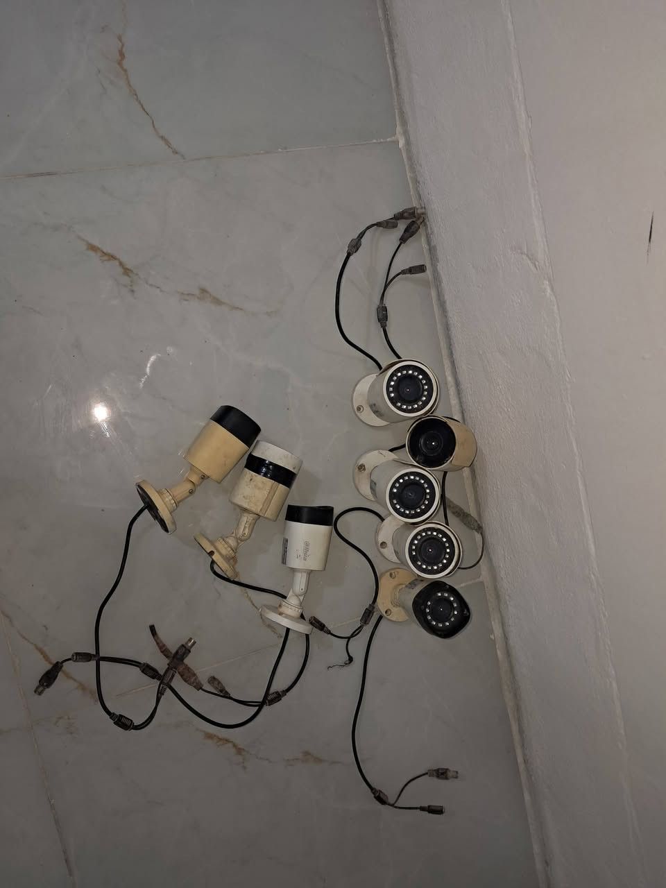 سعر الوحده ١٥ الف شغالات نوعيه جيده


**إذا كنت صاحب هذا الإعلان وتريد حذفه لأي سبب، رجاءا أرسل رسالة إلى الدعم الفني**