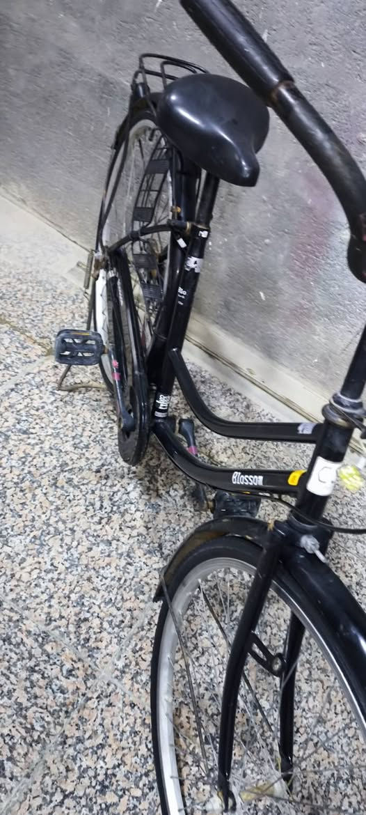 بايسكل بناتي ياباني اصلي شركهB1OSSOMنضيف السعر 100وبي مجال حگ الجيه مكاني ناصريه مركز


**إذا كنت صاحب هذا الإعلان وتريد حذفه لأي سبب، رجاءا أرسل رسالة إلى الدعم الفني**