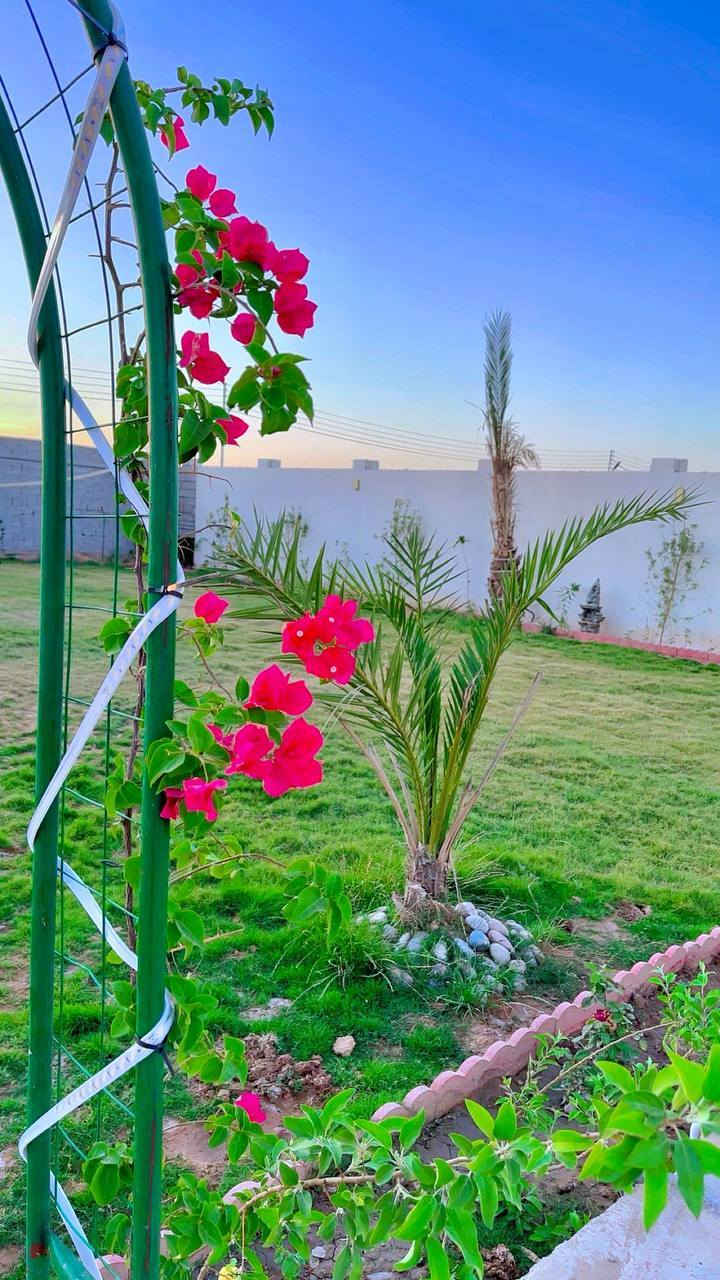 مزرعة سيلا متوفر حجوزات ايام العيد *********** ***********
