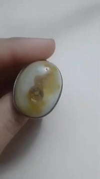 مراوس • بغداد • بدون توصيل