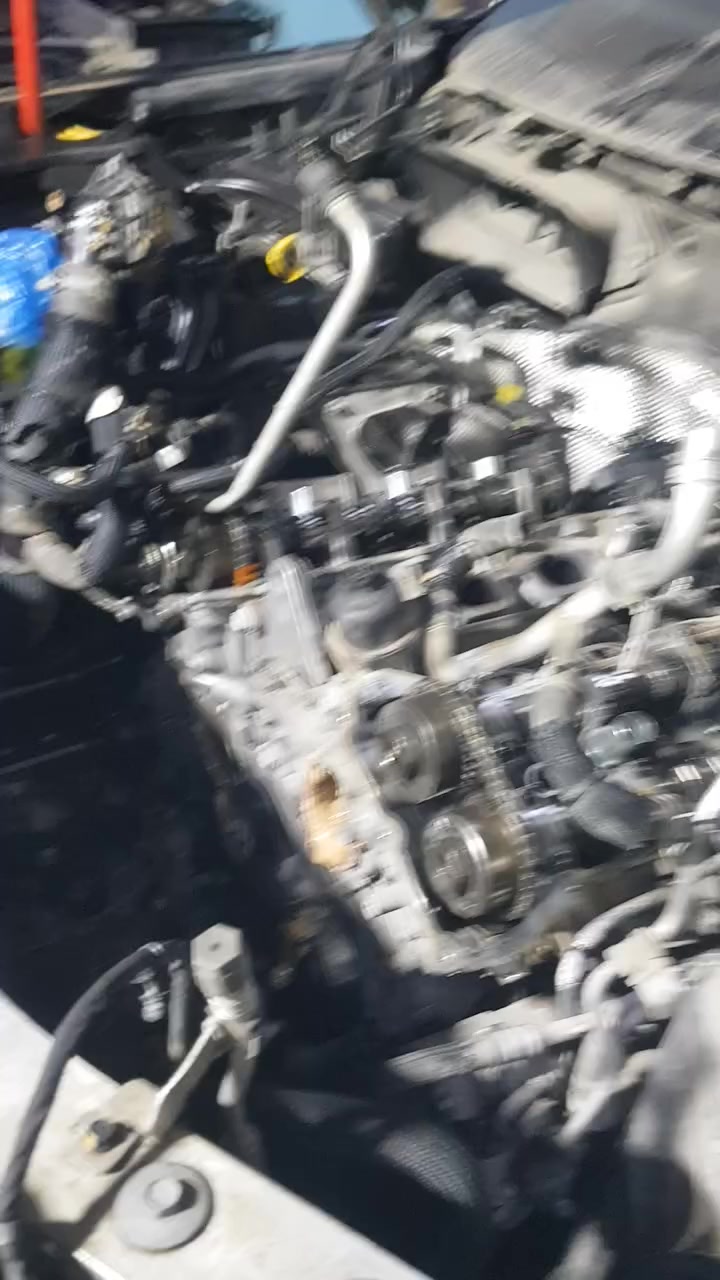 الشركة العالمية لصيانة السيارات الامريكية  
جيب الشكل الجديد  2024 
براد دهن طاك وخابط 
السيارة حميانة  وطك الكازكيت  
راح يتبدل كازكيت وكاله 
وبراد اصلي وكاله  
وترجع بحالة الوكالة  وبالضمان 
بغداد الوزيرية مقابل مسرح الطليعه العالمية لصيانة السيارات الأمريكية 
***********
