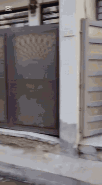 بل زيتون • ٥٠م • طابقين