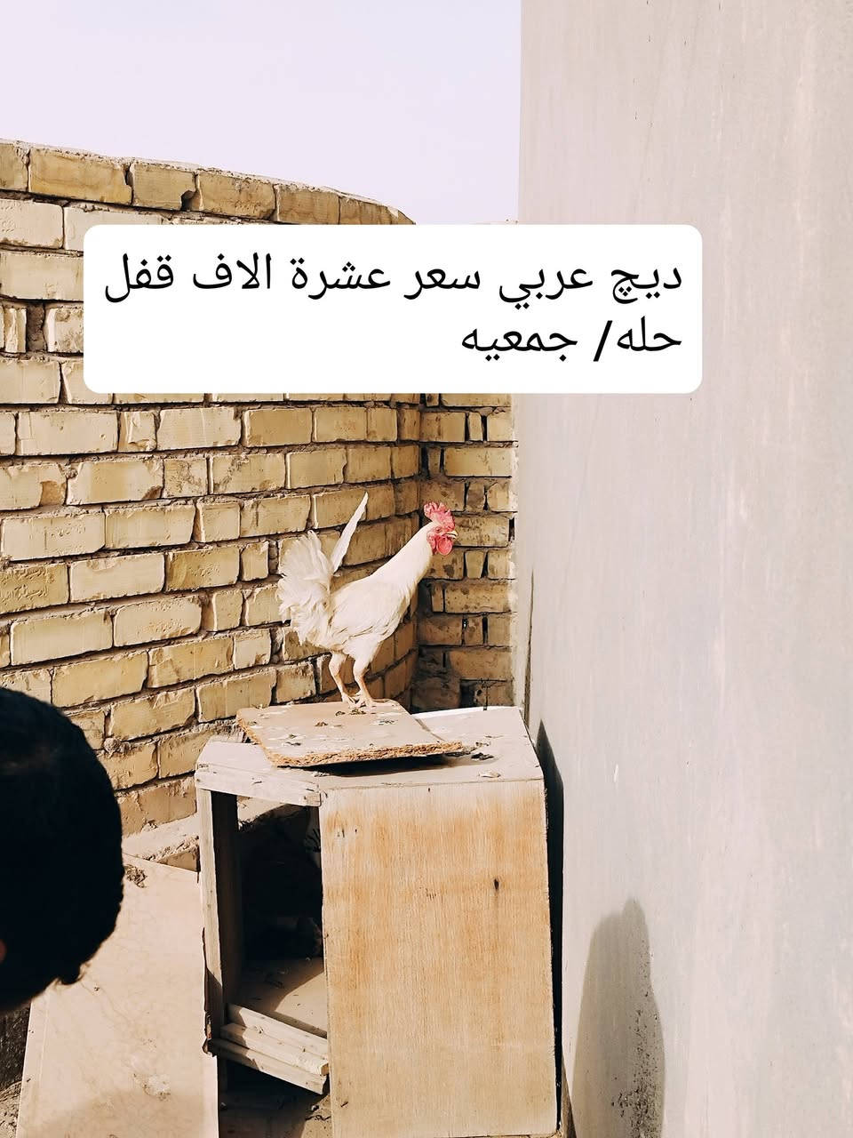 اغراض للبيع مكان بابل تفاصيل داخل الصور


**إذا كنت صاحب هذا الإعلان وتريد حذفه لأي سبب، رجاءا أرسل رسالة إلى الدعم الفني**