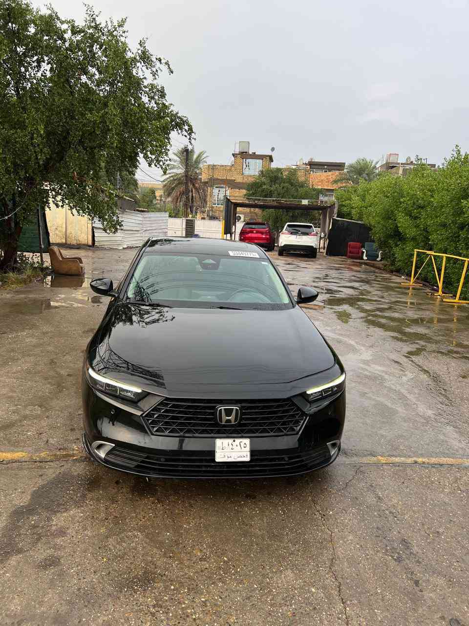 السلام عليكم …
السلام عليكم …
هوندا اكورد تورنك اعلى فئه  بدون ايرباك موديل ٢٠٢٤ السياره ماشيه٣٥ الف بيها صبغ ربع البنيد و وجه الجنطه (منطقه الرقم الخلفي ) صور الحادث مرفقه بالمنشور  نقصها رادار مكان السياره كفاءات الغزاليه .
السعر19500$
للاستفسار : ***********
