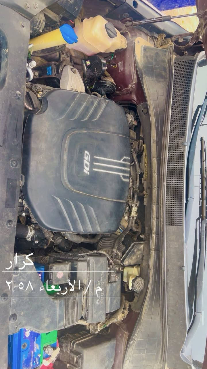 سلام عليكم سورنتو 2016 واحد على واحد معيزه برغي بيه باب وجملغ  حادثه من امريكا البيع عنوان الغزالية  //***********
  سعر ١٨٠ بيها مجال المحرك مامفتوح تخم تاير منضومه زنون صدر جديد تحويل ثاني يوم
