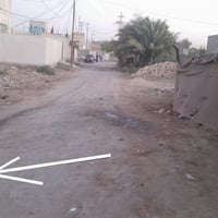 طابو زراعي • خلف عمارت الزيتون • ركن على شارعين