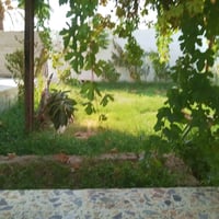 المشتل قرب جامع فاضل • ٤٠٠م • بناء حجر ورباط