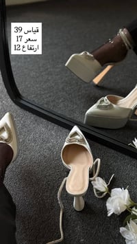 سنيوريتا • واسط قضاء الحي • توصيل