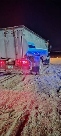 شاص • كفالة عامة • لحمزه