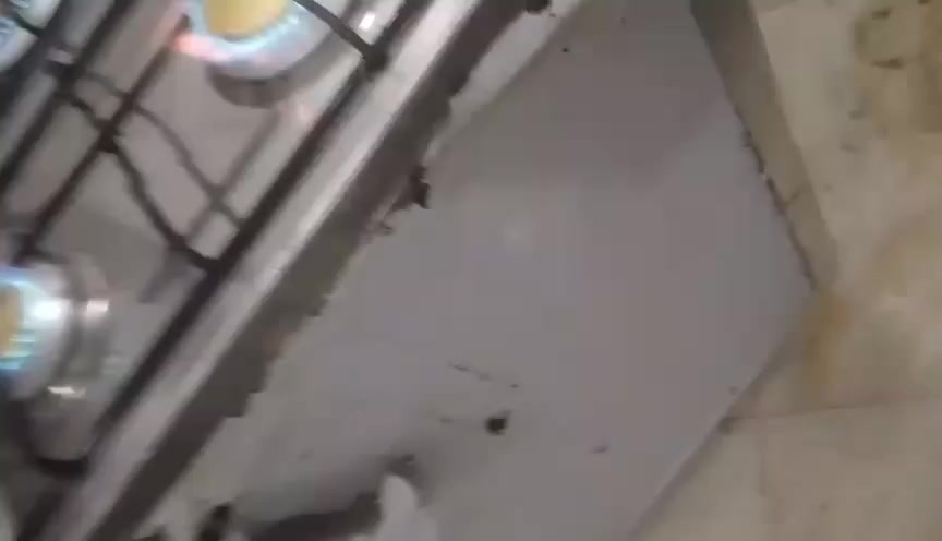 طباخ فريش مصري اصلي شرط الفحص نظافه ونار زركه شراي واتساب *********** ناصرية وموجود توصيل
