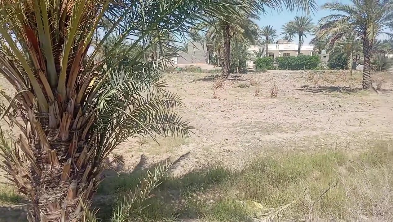 يوجد 4 دونم للبيع في الرمادي جزيرة الجمعيه الثانيه قرب طريق السريع وجه على المشروع 

طابو زراعي  سند 25
تنازل مباشر 

وتحتوي الأرض على مشتمل هيكل 

سعر الدونم الواحد 55 مليون وقابل للتفاوض 

للتواصل الاتصال على الارقام التالية أو زيارة مكتبنا على طريق الثرثار قرب الطاحونه

***********
*********** احمد
