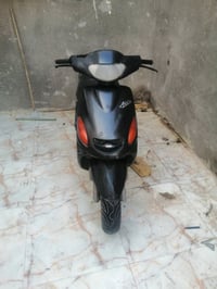 اكزز • فحل • شغاله