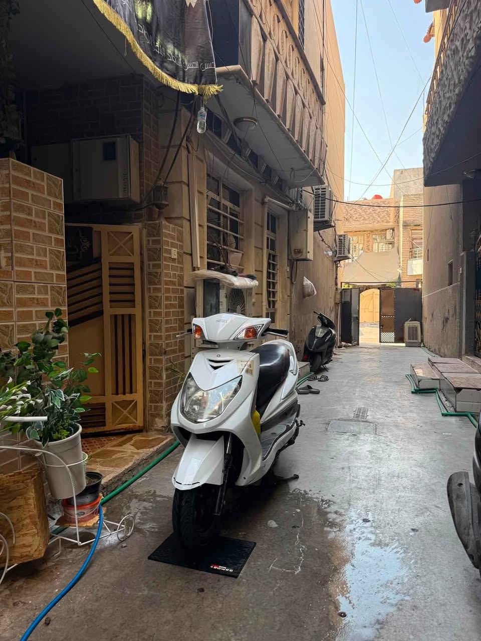 سلام عليكم
سكنس فحل للبيع
ياباني قبق نفخ ستاند حساس
كفاله عامه 
قبل اربع اشهر اخذتها رمبه ماشيه 77الف وهسه ماشيه78الف 
بس وكاله
العنوان الوزيريه 
الرقم 
***********
