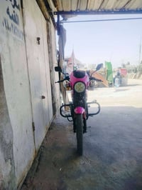 دراجة سونك • موديل 2024 • أوراق أصلية