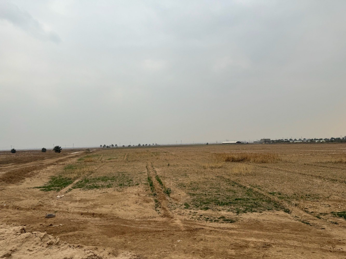 السلا عليكم
13 دونم للبيع 
موقعهن بغداد بوب الشام
طابو زراعي سند 25 

خدمات كاملة
كهرباء، ماء، مشروع إروائي، ومشروع بزل

تبعد التبليط حوالي 300 متر فقط

مناسبة للاستثمار، التقطيع، والبناء
تنفع لبناء الجملونات

للتواصل مباشرة مع مالك الأرض:
***********