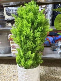 مستلزمات البيت • ناحية الشوره • ظهر انفوس