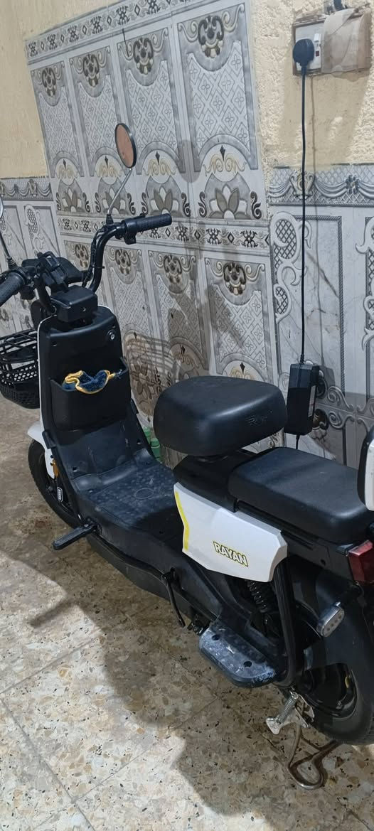 دراجه شحن جديده بلكارتون شركة ريان
مراوس مصريه جديده


**إذا كنت صاحب هذا الإعلان وتريد حذفه لأي سبب، رجاءا أرسل رسالة إلى الدعم الفني**