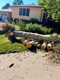 اتصل بنا قلع النخل والأشجار  ٠٧٧٤٢٥٠٦٢٣٤ ٠٧٨١٣٨٩٣٤٨٧