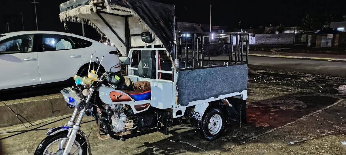 سلام عليكم ستوته للبيع موديل 19منفيس اوراق كامل   فحل عالي قلاب نكره سلف كهربائي كلها شغاله طيرات تخم جوبلس سعره  مليون و 550رقم موبايل***********
