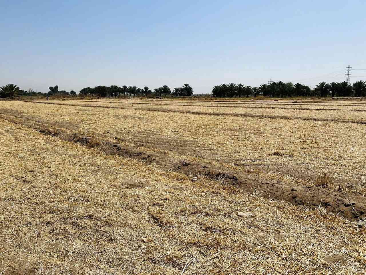 سلام عليكم ارض زراعيه للبيع 
عقد 117 المساحه 4 دونم 
العنوان طريق كربله - نجف عمود 301 يا حسين 
كافت الخدمات ‭0783 885 1910‬
