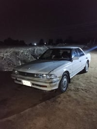 مارك تكم • ١٩٩١ • كفاله عامه