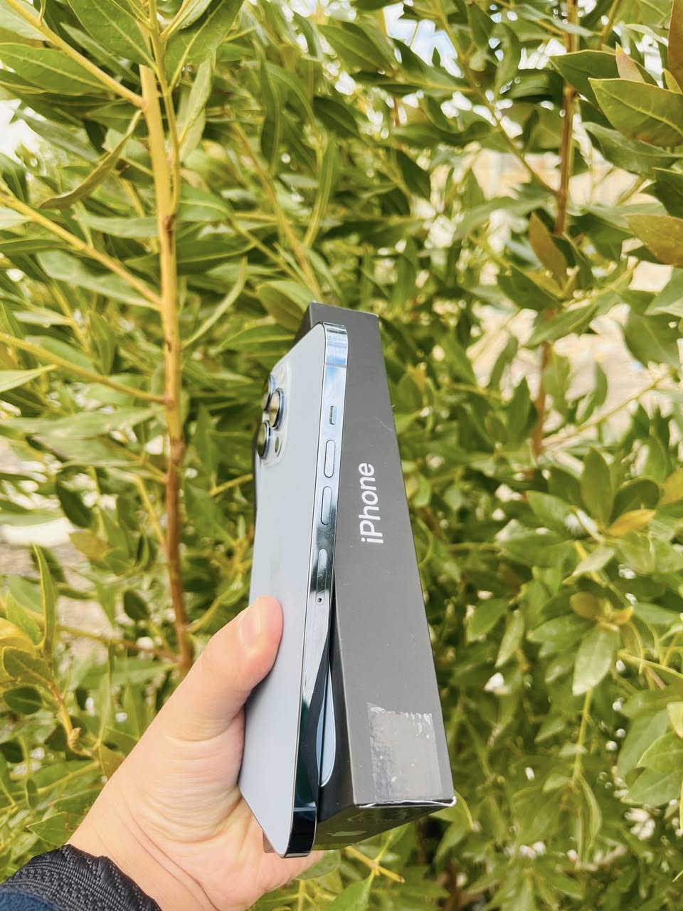 السلام عليكم
آيفون 13 برو ماكس 
ذاكره 256
بطاريه 85 
كفاله عامه شرط تفحص يالله تاخذه 
نموذج M عربي شرق اوسط 
نضافه 100/100 
لون بحري مميز 
دبل سيم كارت 
ملحقاته كارتونه وكيبل الأصليات 
للاستفسار اكثر خاص أو لاتصال علا رقم الهاتف 
                                                                      ***********
