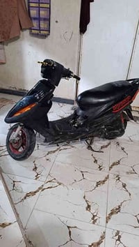 ماكس 49 • أوراق • الماجدية