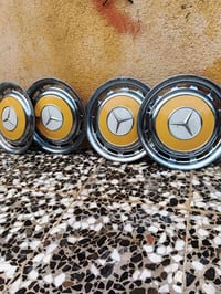 رخصة • ادمن • قيم