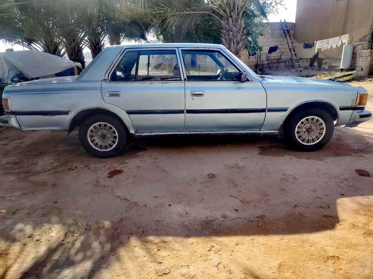 سلام عليكم
سوبر للبيع ٨٣
مداور ثاني يوم رقم انكليزي
سنويه ل ٣٠
مكيننه كير كفاله
الاستفسار الاتصال
***********
