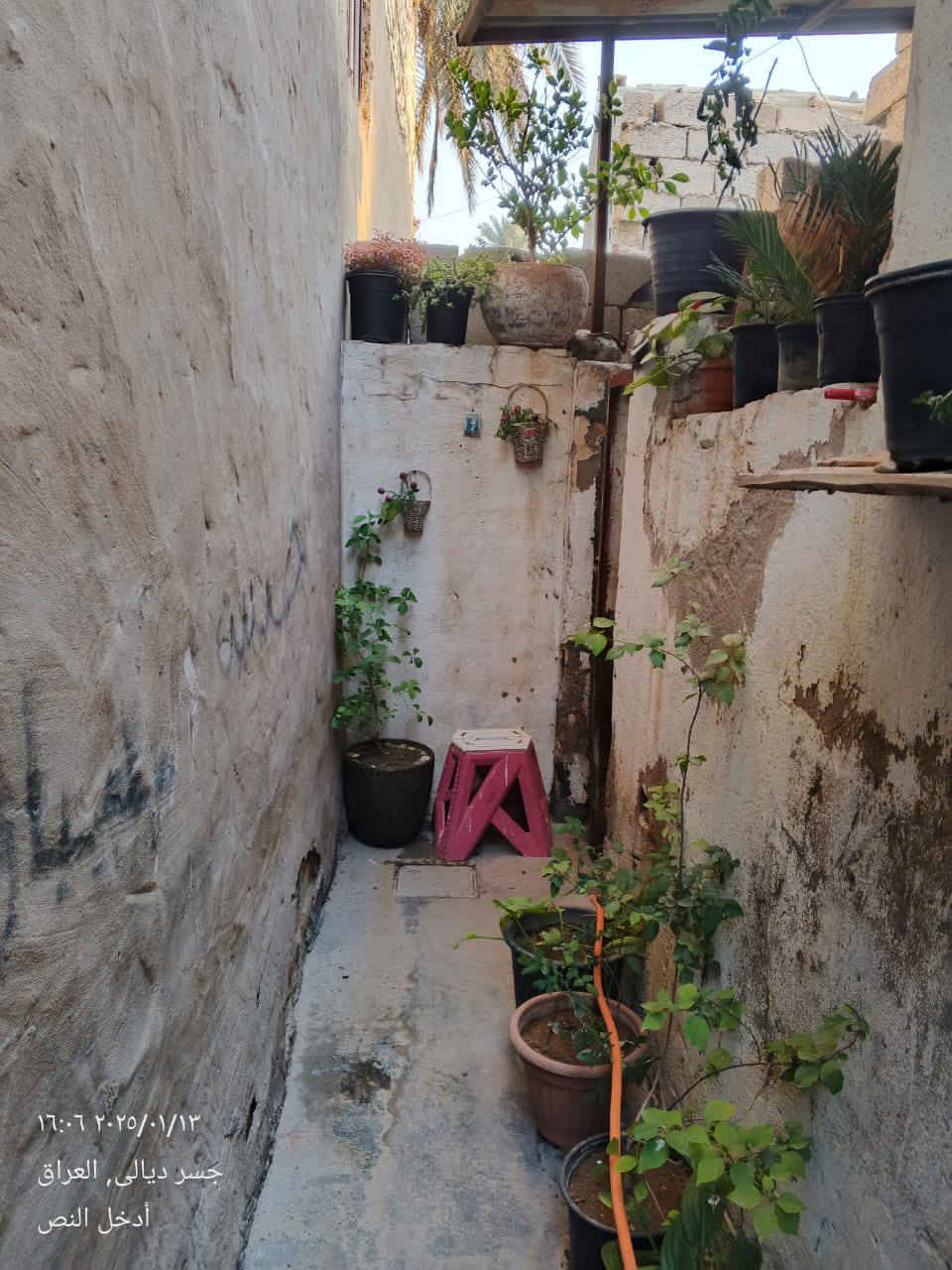 بيت مساحة 170 متر زراعي سند 25 منزلين يعتبر عالشارعين واحد خلف الثاني العنوان بغداد جسر ديالى  القديم البستان خلف الحدادين يوجد خدمات كاملة ماء كهرباء مجاري تبليط السعر 60 وبي مجال  يرادلةترميم بسيط  الاتصال على الارقام  التالية12338634 077 الرقم الثاني *********** يوجد واتساب
