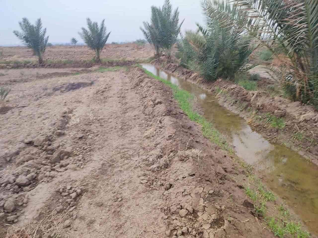 متوفر دوانم طابو سند 25 مخدومه 
سعر الدونم 25مليون
العنوان طريق حله نجف
للاستفسار ***********
