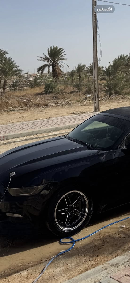 السلام عليكم 

تخم ويل بلادي  18 225   الف

زوج ويل ويلد شفه العريضة حجم 18   325 الف 

الوياله نظيفة لافطر ولاعواج ولاتصليح 

***********
