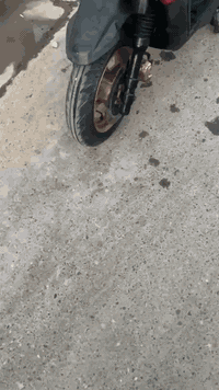 سلام عليكم سكنس جبلي للبيع دراجه مال رمبه نازله صاله8اشهر ممتعوبه ابد  سعر خاص عنواني بغداد الحسينيه الراشديه  تفاصيل خاص ***********
