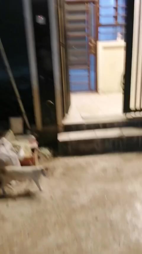 بيت للايجار ٥٥م طابقين يتكون من استقبال ومطبخ وحمام و٢ غرف نوم فوك السعر ٥٥٠الف عوائل او موظفين الموقع الدوره ابو طياره الزراعي شارع ليمونه بالوسط للإستفسار اتصال ***********
