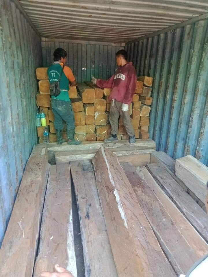 Loading process of teak raw materials into the container; the quality and appearance are very beautiful and excellent.
#Teak #Teakwood


**إذا كنت صاحب هذا الإعلان وتريد حذفه لأي سبب، رجاءا أرسل رسالة إلى الدعم الفني**