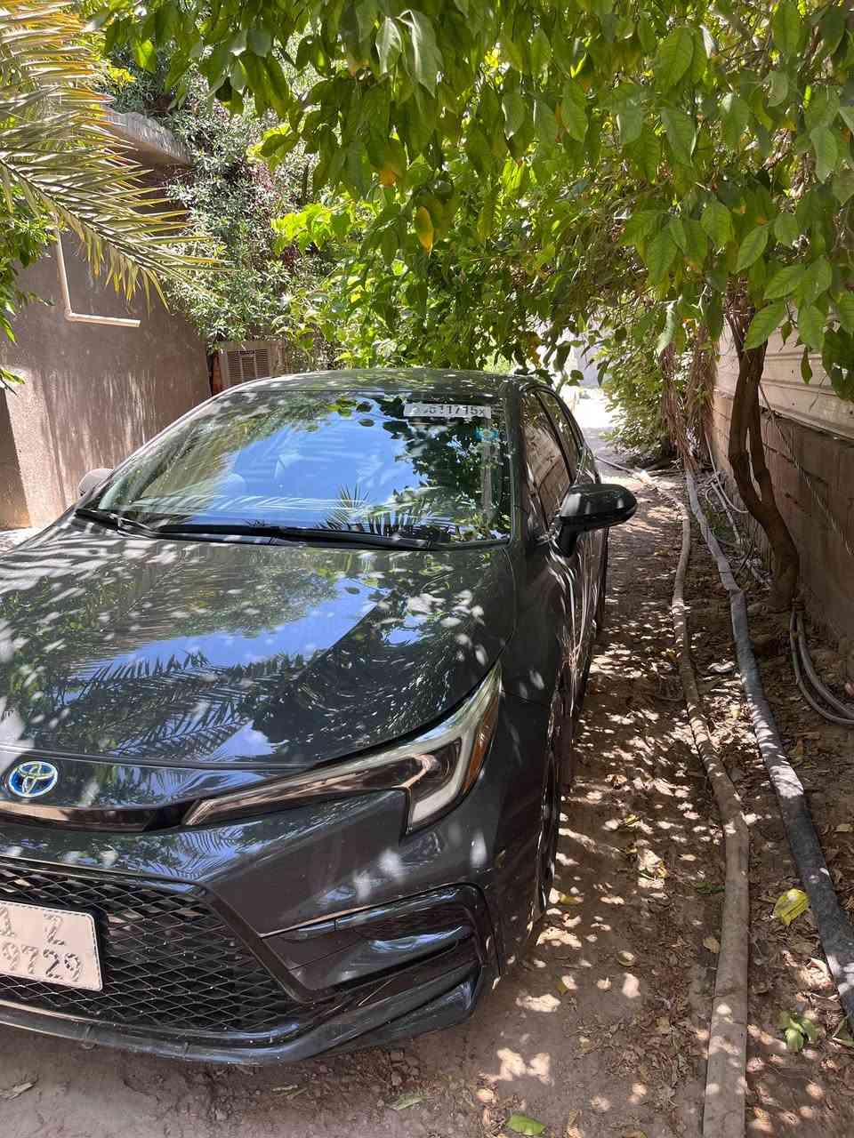 كورلا 2024محرك 1800 هايبرد رقم بغداد بسمي السيارة

ماشيه54 

سعر 155 وبي مجال 

❇️محرك 1800 هايبرد شحن ذاتي 

❇️بصمه + دخول ذكي 

❇️هاندر بريك بصمه + اوتو هولد

❇️رادار امامي 

❇️سياقه اليه 

❇️تبريد بيانو شاشه 

❇️شاشه كبيره 

❇️مانع نزلاق + مود درايف +  ايفو مود 

❇️6  ايرباك 

❇️حساس لايت كامل اوتو عالي ناصي اوتو + حساس ظغط اطار 

❇️تحكم سترين كامل فول 

❇️لايت زينون + لد صباحي + اشاره لد  

حادث السياره جاملغ وبنيد صوره موضحه بل منشور 

عنوان بغداد 

رقم التواصل ***********
