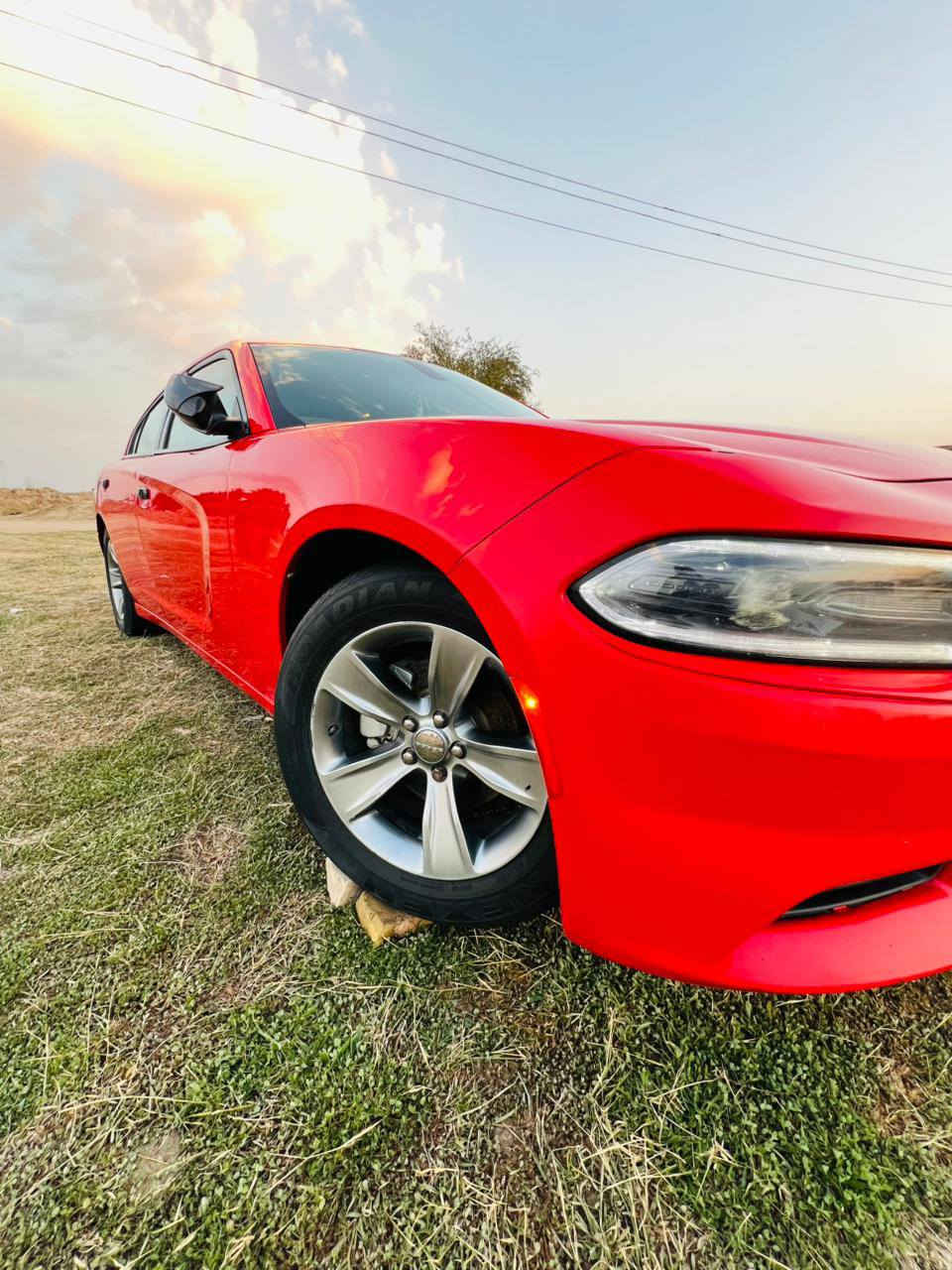 اليدور جديد وجاهز 19 مرمز 22 بغداد الدولي بسمي

تريد وكاله تريد تحويل لون مميز داخله تقرير
 
وبيها باب مبدل سنويه وهزه جديده بعدها بريحة الشركه

استخدام شخصي يعني ما طابه گراج

مكينه وكير بوضع الشركه توه ويل

حداده تخم تاير جديده عليها إدامه كامله

عليها برمجه عربيه يعني عدادات عربيه

العنوان ناصريه الشطره *********** واتساب

السعر 188 وبيها مجال بيع او مراوس حسب القناعه
