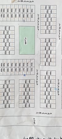 بالتربية • نص قطعة • ١٠٠م