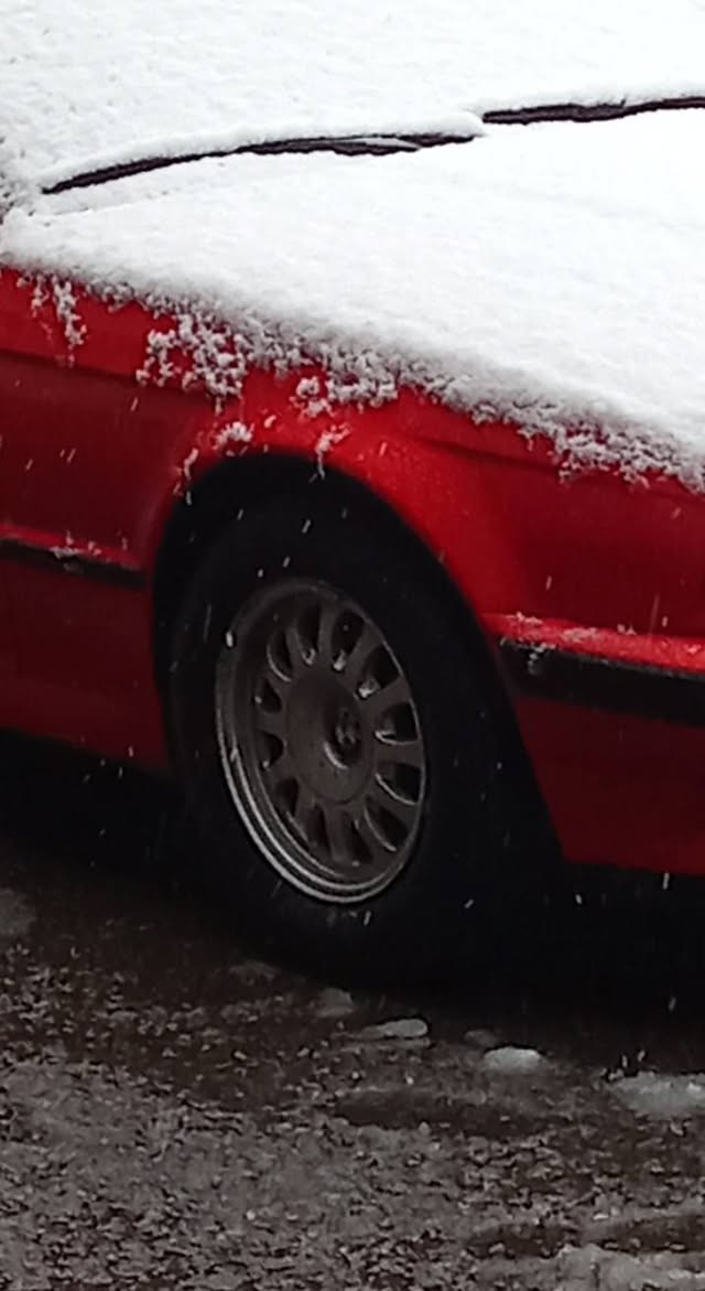 عندي ويل صقر هوه و تاياته جديد مراوس بويل M
***********
